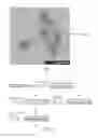 Fig. 04 - Silicone porous body and method of producing the same