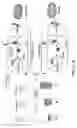 Fig. 02 - ENGINEERING OF BACTERIOPHAGES BY GENOME EDITING USING THE CRISPR-CAS9 SYSTEM