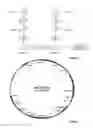 Fig. 02 - Obtaining high-performance yeast strains for metabolizing arabinose