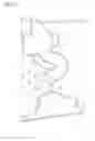 Fig. 17 - TOILET BODY