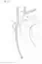 Fig. 19 - TOILET BODY