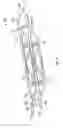 Fig. 08 - SCAFFOLDING SYSTEM FOR USE WITH CURVILINEAR WALLS AND METHOD OF USE