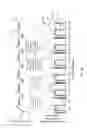 Fig. 20 - Fuel pump pressure control structure and methodology
