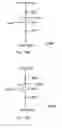 Fig. 35 - LED tube lamp