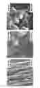 Fig. 09 - Electrochemical cell containing nanostructured material-based working electrode