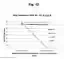 Fig. 13 - Antibodies to aripiprazole haptens and use thereof