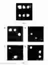 Fig. 06 - Microfluidic device