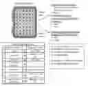Fig. 01 - METHODS AND KITS FOR PREDICTING THE SENSITIVITY OF A SUBJECT TO IMMUNOTHERAPY
