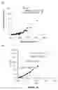 Fig. 41 - METHODS AND KITS FOR PREDICTING THE SENSITIVITY OF A SUBJECT TO IMMUNOTHERAPY