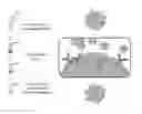 Fig. 01 - Functionalized metal-labeled beads for mass cytometry