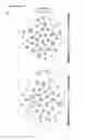 Fig. 17 - Functionalized metal-labeled beads for mass cytometry