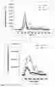 Fig. 12 - In vitro method for identifying a pregnancy related disease