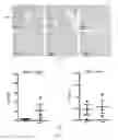 Fig. 08 - Compositions and methods for enhancing neuro-repair