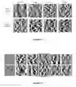 Fig. 09 - FABRICATION OF NANO-PATTERNED SURFACES FOR APPLICATION IN OPTICAL AND RELATED DEVICES