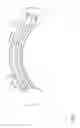 Fig. 12 - T-shaped arrayed waveguide grating