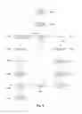 Fig. 09 - Ontology index for content mapping