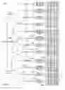 Fig. 09 - Real-time cognitive modifying a mark-up language document