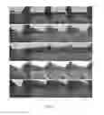 Fig. 09 - Device and method for object recognition of an input image for a vehicle