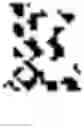 Fig. 02 - Modality-agnostic method for medical image representation