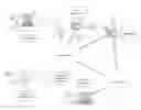 Fig. 01 - Human resource analytics with profile data
