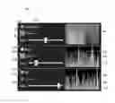 Fig. 01 - Methods and apparatuses for image control and display of particle analyzer images