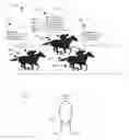 Fig. 01 - Augmented reality systems and methods for sports racing