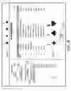 Fig. 09 - System for a massive multi-player game of skill