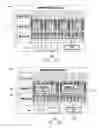 Fig. 12 - Systems, apparatuses and methods enhancing gaming outcome opportunities