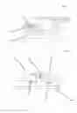 Fig. 03 - STIMULUS GENERATING APPARATUS