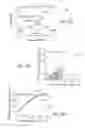 Fig. 17 - Method, apparatus, and computer-readable medium for predicting a hybridization rate constant of a first sequence