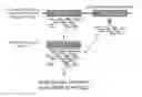 Fig. 01 - Methods, systems and processes of identifying genetic variation in highly similar genes