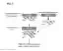 Fig. 02 - Methods, systems and processes of identifying genetic variation in highly similar genes