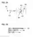 Fig. 03 - Dynamically inferring variable dimensions in user-added equations