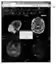 Fig. 01 - DIAGNOSTIC IMAGE COLLABORATION