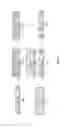 Fig. 03 - Flexible transparent thin film
