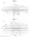 Fig. 09 - LIGHT EMITTING DEVICE PACKAGE