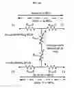 Fig. 09 - Memory cell, memory array, method of forming and operating memory cell