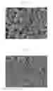 Fig. 04 - Positive electrode for electrochemical device and electrochemical device, and method for manufacturing same