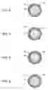 Fig. 04 - ALL-SOLID BATTERY