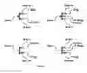 Fig. 16 - CONTROL CIRCUIT