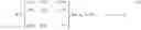 Fig. 02 - Modulator and modulation method using non-uniform 16-symbol signal constellation for low-density parity check codeword having 3/15 code rate