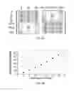 Fig. 09 - Frequency independence for synthesis within programmable non-reciprocal network circuit
