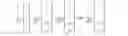 Fig. 30 - Transmit diversity method, terminal, and base station