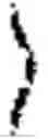 Fig. 04 - Pinocchio/Trinocchio on authenticated data