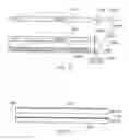 Fig. 09 - Implicit signalling in OFDM preamble with embedded signature sequence, and cyclic prefix and postfix aided signature detection