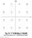 Fig. 10 - COFDM DCM Communication Systems with Preferred Labeling-Diversity Formats