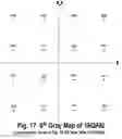 Fig. 17 - COFDM DCM Communication Systems with Preferred Labeling-Diversity Formats