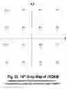 Fig. 25 - COFDM DCM Communication Systems with Preferred Labeling-Diversity Formats