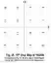 Fig. 26 - COFDM DCM Communication Systems with Preferred Labeling-Diversity Formats