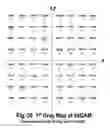 Fig. 30 - COFDM DCM Communication Systems with Preferred Labeling-Diversity Formats